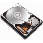 Maxtor 80 GB SATA-II 7200 rpm 8 MB DiamondMax Plus 10 NCQ