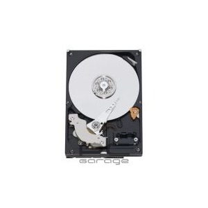 Maxtor 320 GB SATA-II 7200 RPM 8 MB DiamondMax21
