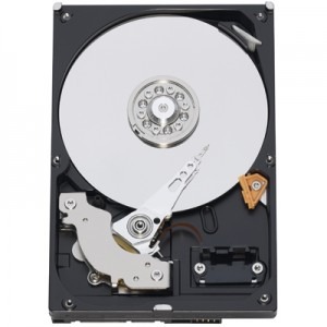 WD 1TB SATA-II 7200 rpm 16MB RE2-GP