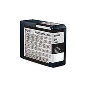 Epson Cartus T580100 Photo Black