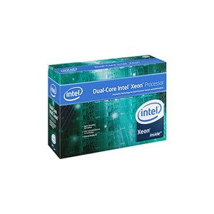 Intel Procesor Dual-Core Xeon 5060 3.20GHz Active/1U Box
