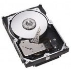 Seagate Cheetah 15K.4 HDD 146GB 15000RPM 8MB SCSI