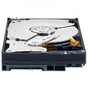 WD 1TB SATA-II 7200 RPM 32 MB RE3