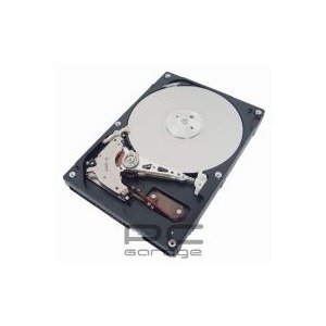 ExcelStor 80 GB 7200 rpm 2 MB