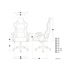 AKRACING ProX Black/White