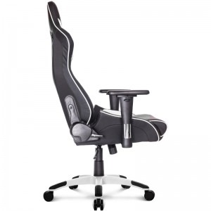 AKRACING ProX Black/White