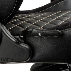 Noblechairs EPIC negru-auriu