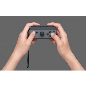 Nintendo Switch Gray Joy-Con