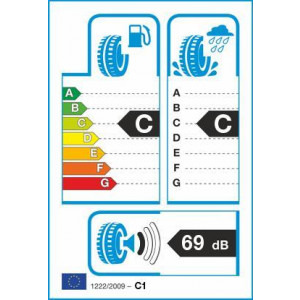 Dunlop Winter4D 245/50R18 100H