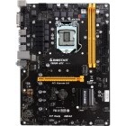 Biostar TB250-BTC