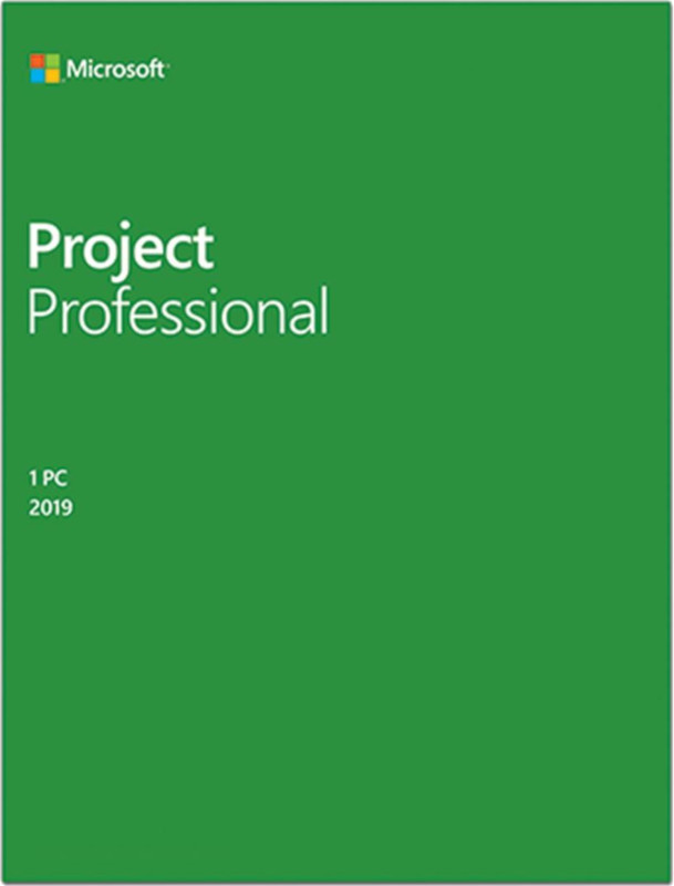 Aplicatie Microsoft Licenta Electronica Project Professional 2019, All languages, ESD