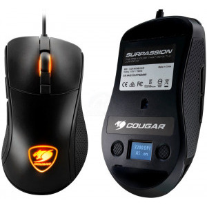 Cougar Surpassion