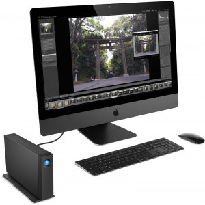 LaCie d2 Professional 10TB USB C Black
