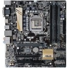 ASUS B150M-PLUS