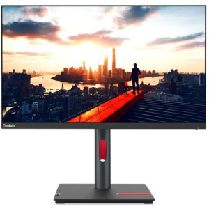 Lenovo ThinkVision P24h-30 23.8 inch QHD IPS 4 ms 60 Hz USB-C