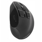 Mouse Natec Euphonie Pro Verical Silent Black