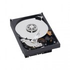 WD 800 GB SATA-II 5400 rpm 64MB Caviar Green