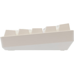 White Shark SHINOBI v2 Outemu Brown Switch Mecanica White
