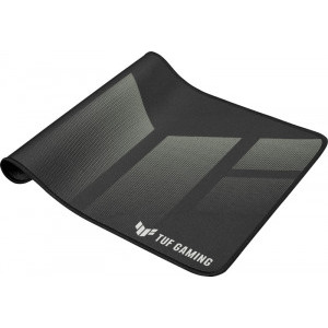 ASUS TUF Gaming P1