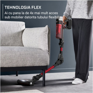Rowenta X-Force Flex 9.60 Allergy RH2099WO, vertical, 250W, 0.44L, Negru/Rosu