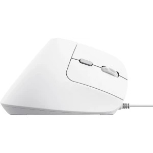 Trust Bayo II, Ergonomic, Silent click, White