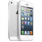 White/Silver