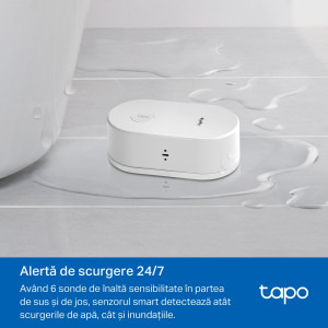 TP-LINK TAPO T300