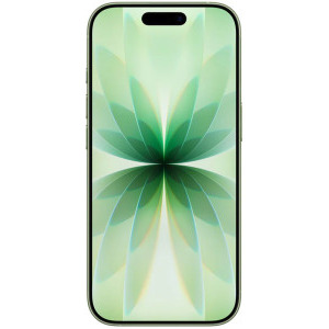 Apple iPhone 17, 512GB, 5G, Sage