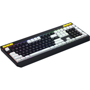 HATOR Icefall RGB Black/White