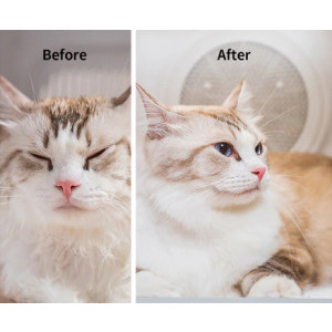 PetKit Uscator Smart AirSalon Max pentru animale de companie