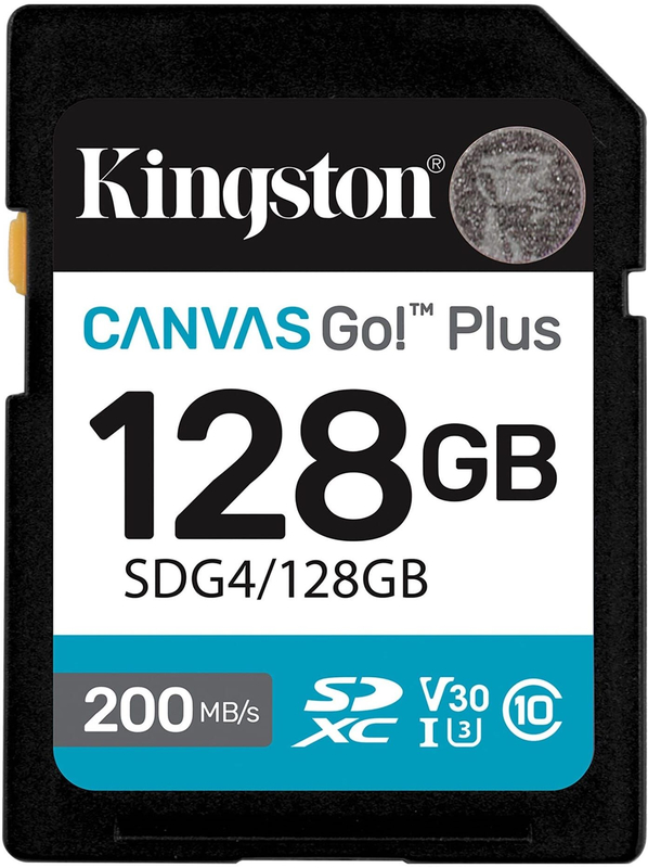 Card Memorie SDXC Canvas Go Plus Gen4 128GB C10 UHS-I U3 V30 - imagine 2