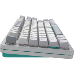 Dark Project Daylight TKL RGB G3MS Zircon Switch Mecanica