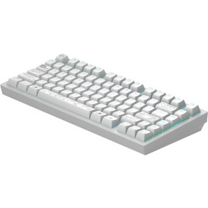 Dark Project Terra Nova White RGB G3MS Moonstone Switch Mecanica