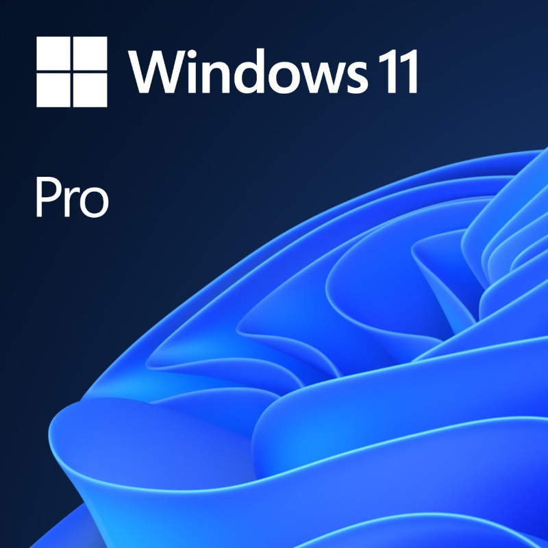 Sistem de operare Microsoft Windows 11 Pro, 64-bit, Engleza, Retail/FPP, USB Flash