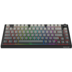 Redragon Penumbra Pro RGB TKL Black Lion L Switch Mecanica