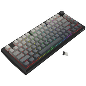 Redragon Penumbra Pro RGB TKL Black Lion L Switch Mecanica