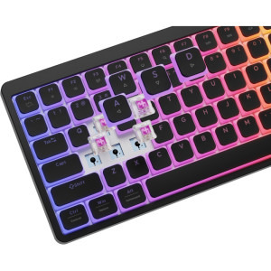 Genesis Thor 430 TKL RGB Black Silent Switch Mecanica