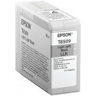Epson Cartus T850900 Light Light Black
