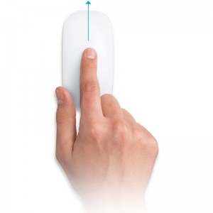 Apple Magic Mouse MB829ZM