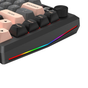 Redragon Eclipse Pro Neagra RGB Switch-uri Liniare Lion L Mecanica