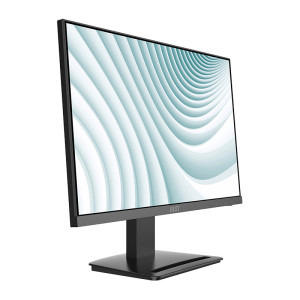 MSI Pro MP243X 23.8 inch FHD IPS 1 ms 100 Hz