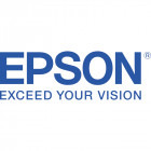 Epson Cartus T48M1 Photo Black