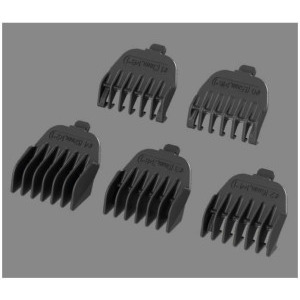 Remington WeTech BHT6256