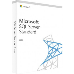 Microsoft SQL Server 2019 Standard, Licenta perpetua