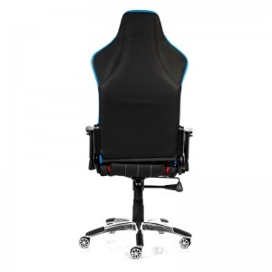 AKRACING Premium Style V2
