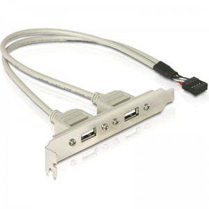 DeLOCK Bracket PCI 9-pin - 2x USB 2.0 Female