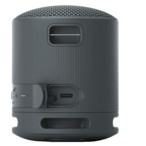 Sony Boxa portabila SRS-XB100, Black
