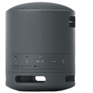 Sony Boxa portabila SRS-XB100, Black