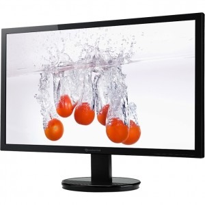Packard Bell Viseo203DX 19.5 inch 5ms black