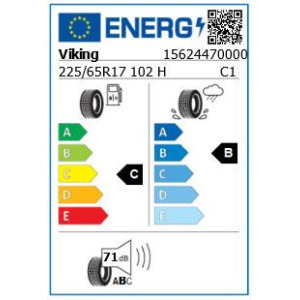 VIKING Protech NewGen225/65R17 102H